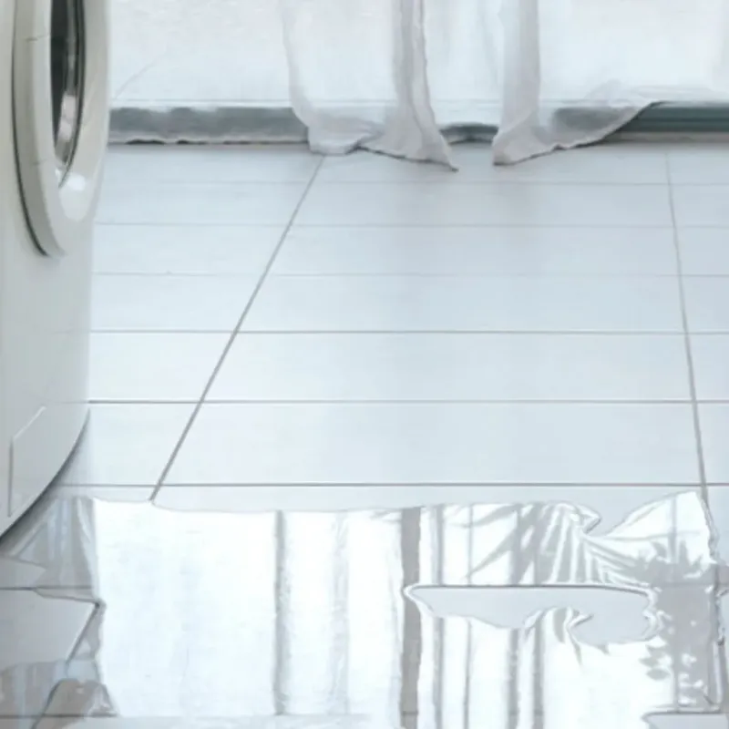 Appliance Leak Cleanup in Bostonia, CA