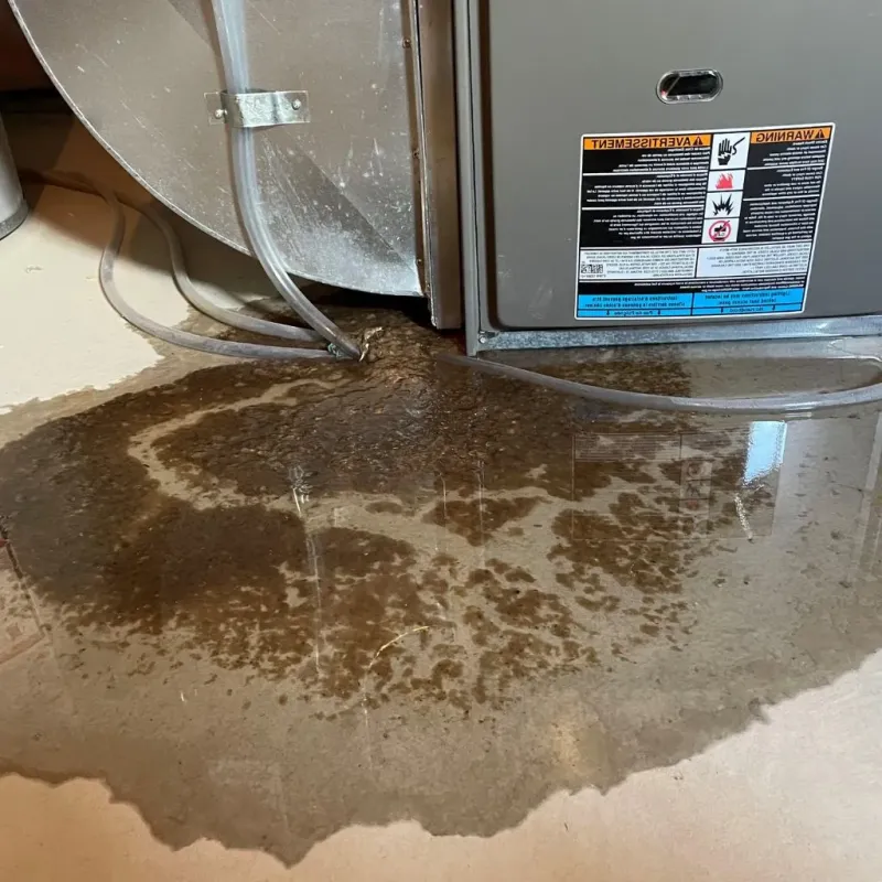 Pipe Burst and Leak Restoration in Bostonia, CA